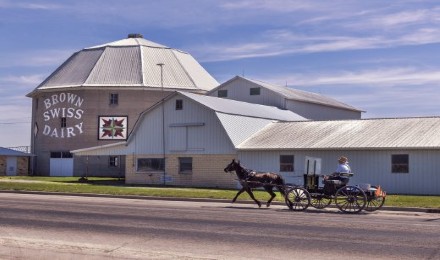 Brown Swiss Farm Barn